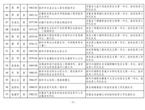 2025澳门正版资料全年免费公开-精选解析与落实的详细结果