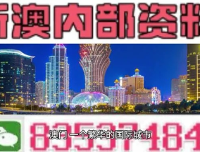 新澳2024年精准资料期期公开不变_良心企业，值得支持_网页版v835.927