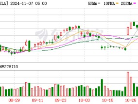 美国大选后特斯拉股价大涨近15%，马斯克身家单日增长209亿美元 特朗普胜选助力